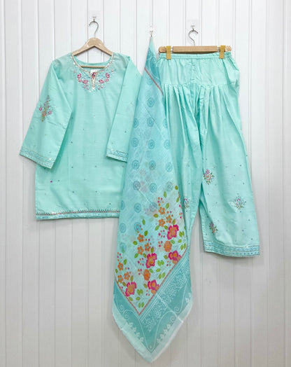Article No: D-1063