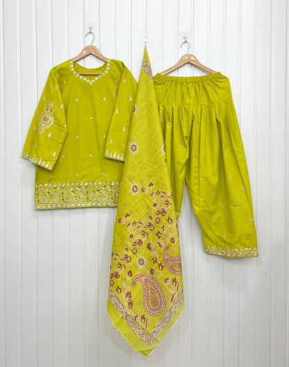Article No: D-1070 Cotton