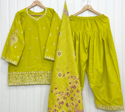 Article No: D-1070 Cotton