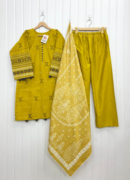 Article: D-1197 Khaddar 3piece