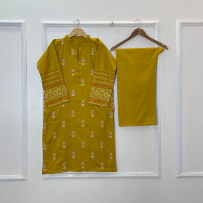 Embroidered Pocket Perfect 2PC (Khaddar) (Best Seller) 
D-318