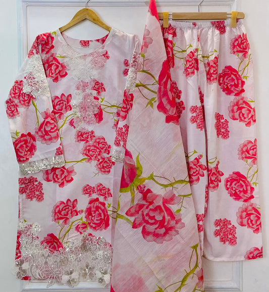 Sparkle Embroidered Beauty 3PC (Bana Dora) D-349