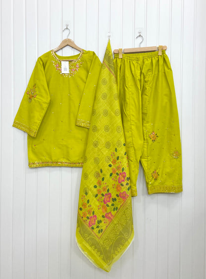 Article No: D-1063