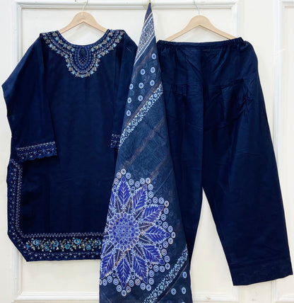 Premium Farshi | 3PC Cotton D-629