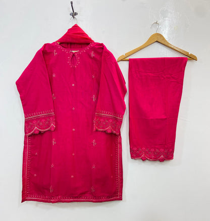 Embellished Beauty 3PC (Khaddar) D-127